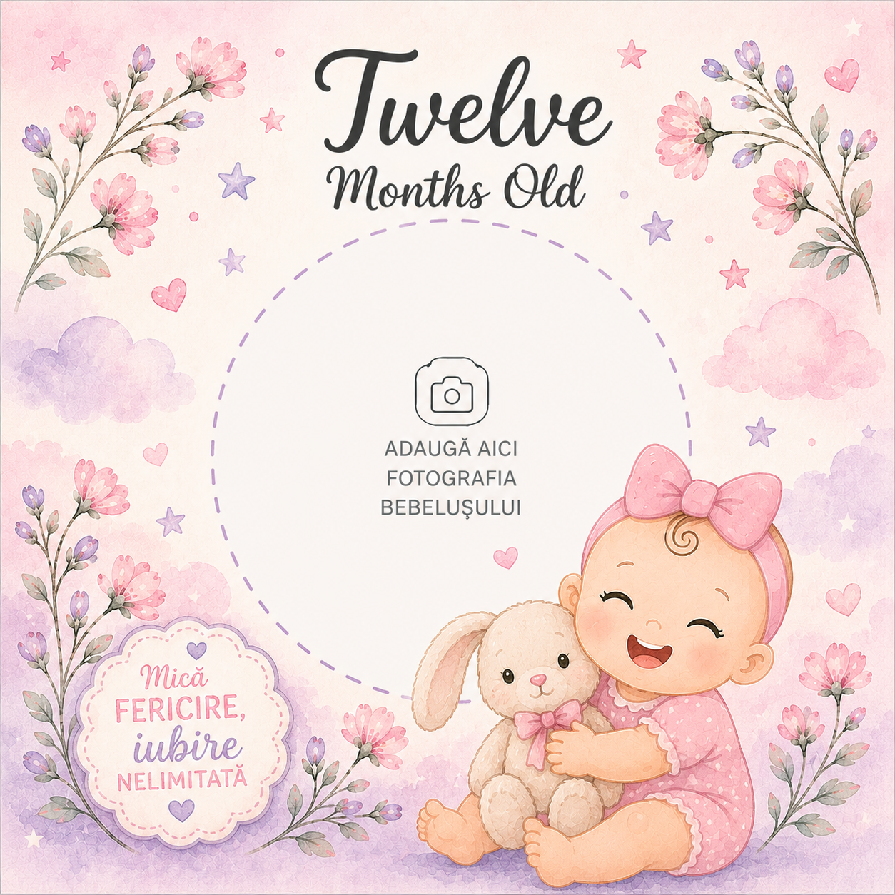 Carduri Lunare Bebeluș - Set 12 Bucăți - Primul An
